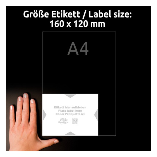 Usporedba veličina s rukom, Artikal: 8002-5, jedan list nosača etiketa, Format: 160 x 120 mm, Boja: Bijela, Svijetlosiva?