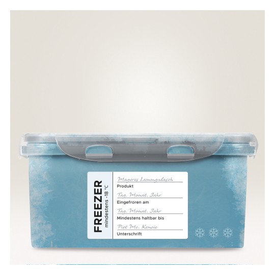 Slika prikazuje svijetloplavu kutiju za zamrzavanje s prozirnim poklopcem. Ima bijelu naljepnicu s dijelovima za naziv proizvoda, datum zamrzavanja, najbolje upotrijebiti do datuma i potpis.