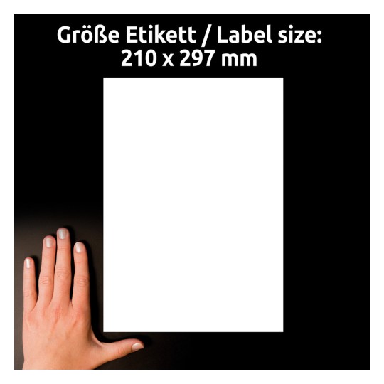 Veličina u usporedbi s rukom, članak: L9001-10, jedan list naljepnica za stražnje staklo, format: 210 x 297 mm, boja: bijela?