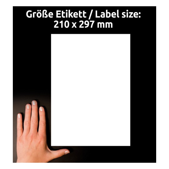 Usporedba veličine s rukom, Artikl: LR3478, jedan list univerzalnih etiketa za recikliranje, format: 210 x 297 mm, boja: prirodno bijela?