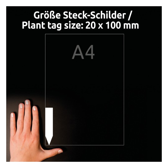 Usporedba veličine s rukom, artikl: T3005-10, jedan list, format: 100 x 20 mm, boja: bijela?