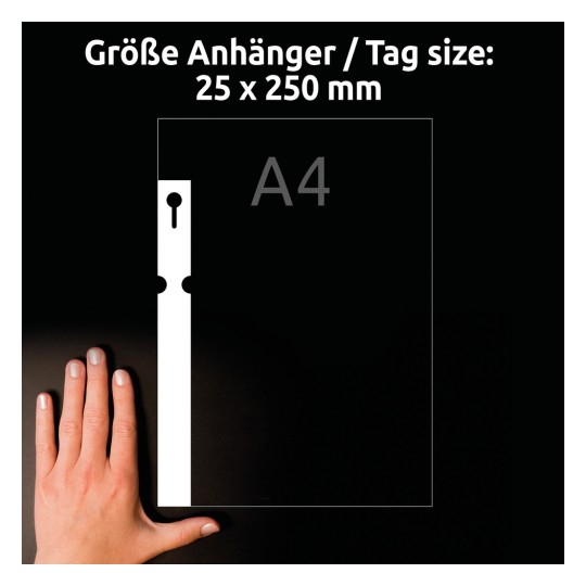 Usporedba veličine s rukom, artikl: T3008-10, list privjesaka s petljom, format: 250 x 25 mm, boja: bijela.