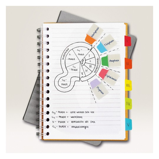 Slika prikazuje bilježnicu s dijagramom koji ilustrira faze staničnog ciklusa, uključujući faze kao što su G0, G1, S, G2 i M, označene ljepljivim bilješkama u različitim bojama. Bilježnica se nalazi na sivoj površini, a razne bilješke opisuju svaku fazu.