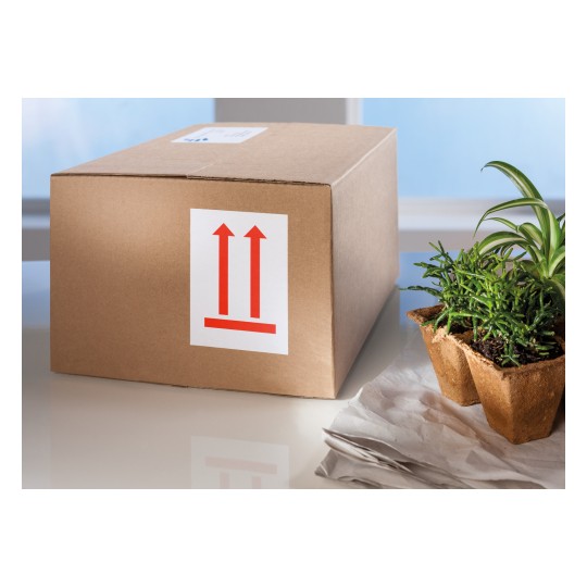 Slika prikazuje kartonsku kutiju s oznakom upozorenja za rukovanje, a pokraj nje je smješteno nekoliko biljaka u loncima. Okruženje izgleda kao svijetli unutarnji prostor.